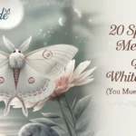 20 Spiritual Meaning of a White Moth (You Must Have To Know)