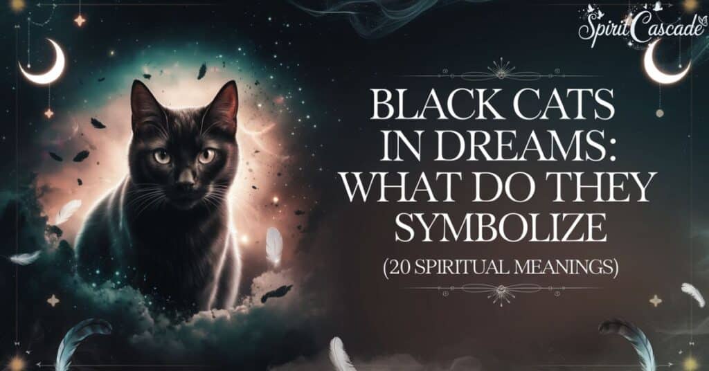 Black Cats in Dreams What Do They Symbolize [20 spiritual meaning]