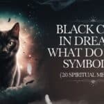 Black Cats in Dreams What Do They Symbolize [20 spiritual meaning]